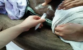 교잡·육종 기술 · IR 2023 자료 이미지